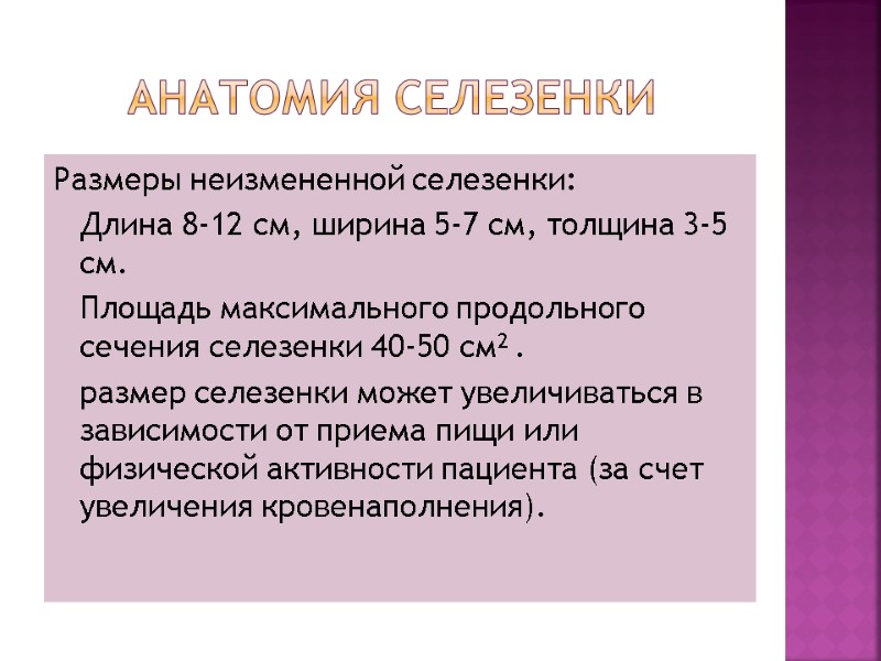 Анатомия селезенки Размеры неизмененной селезенки:  Длина 8-12 см, ширина 5-7 см, толщина 3-5